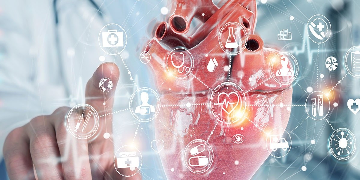 Cardiovascular Diagnostics Market: Key Strategies Driving Success and Innovation