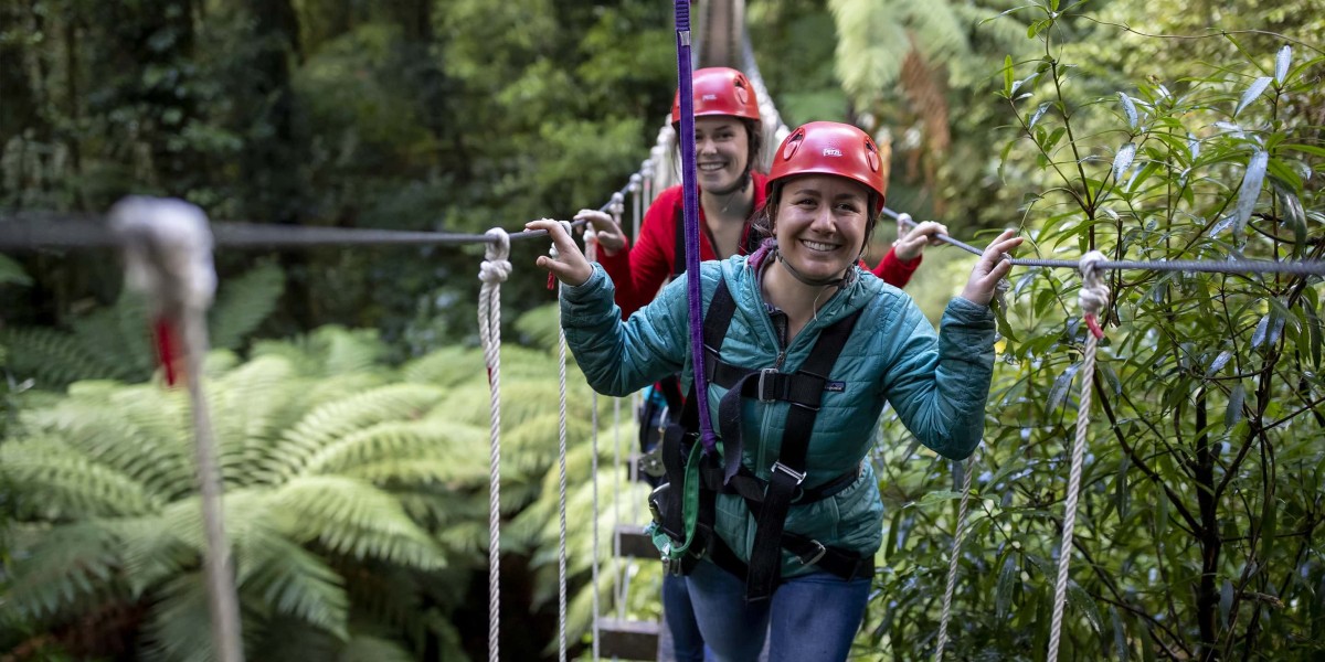 From Forest Canopies to Thrilling Drops: Ziplines in Rotorua Explained