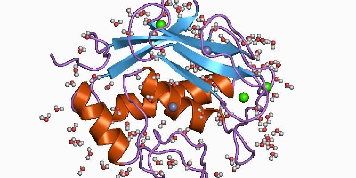 Textile Enzymes Market: Exploring Untapped Opportunities for Growth