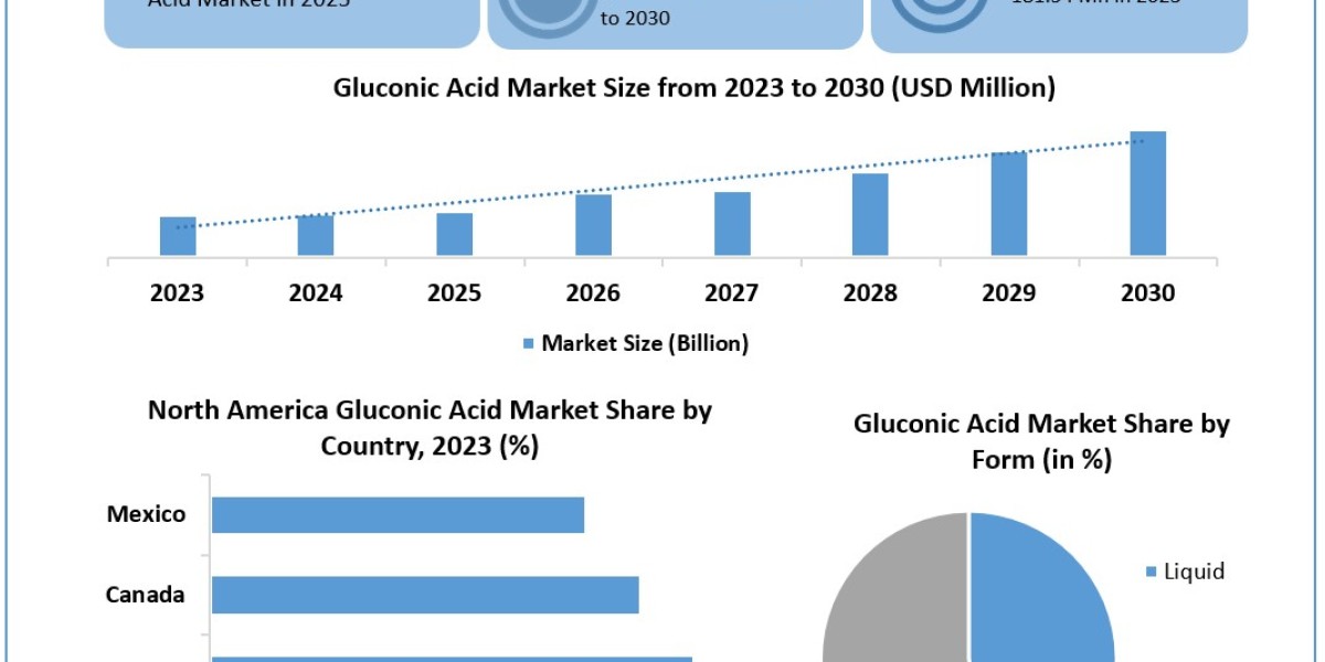 Gluconic Acid Market	Metrics Matrix: Segmentation, Outlook, and Overview in Market Dynamics | 2024-2030