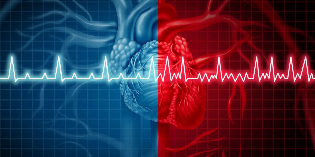 Atrial Fibrillation (Afib) Market: Future Outlook and Key Drivers of Market Expansion