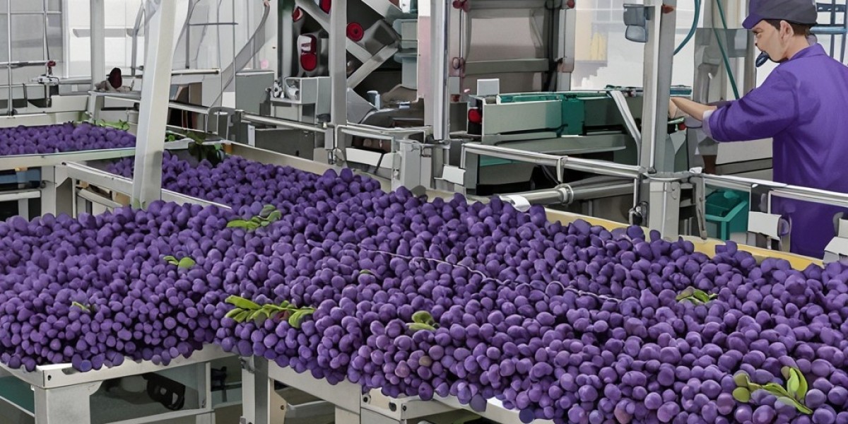 Table Grape Processing Plant Project Report 2024: Industry Trends and Raw Materials