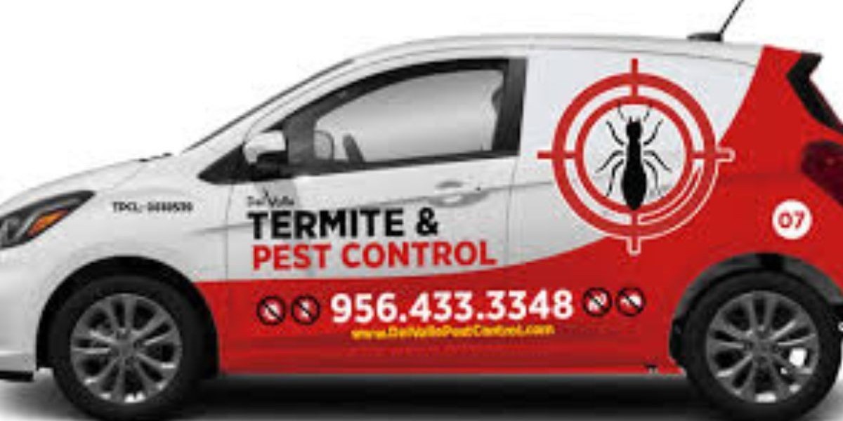 Drywood Termites in Mission: Effective Control and Prevention