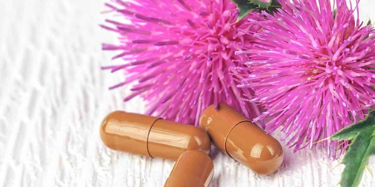 Milk Thistle Supplements Market Challenges and Barriers to Growth: Key Hurdles, Risks, and Solutions for Sustained Indus