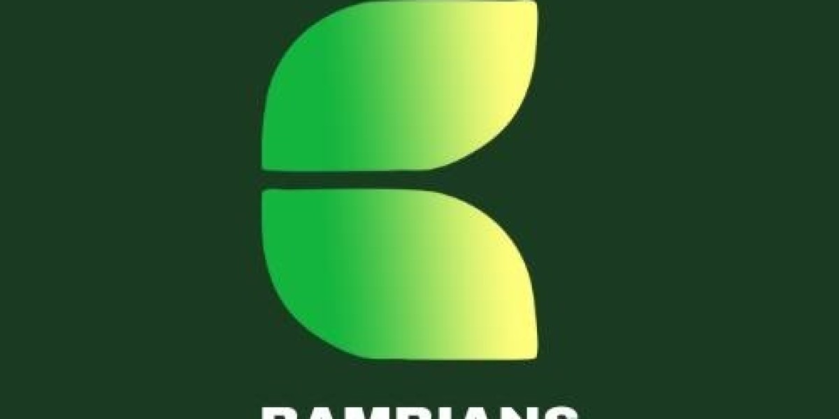 Bambians: Your Eco-Friendly Bamboo Clothing Company in India