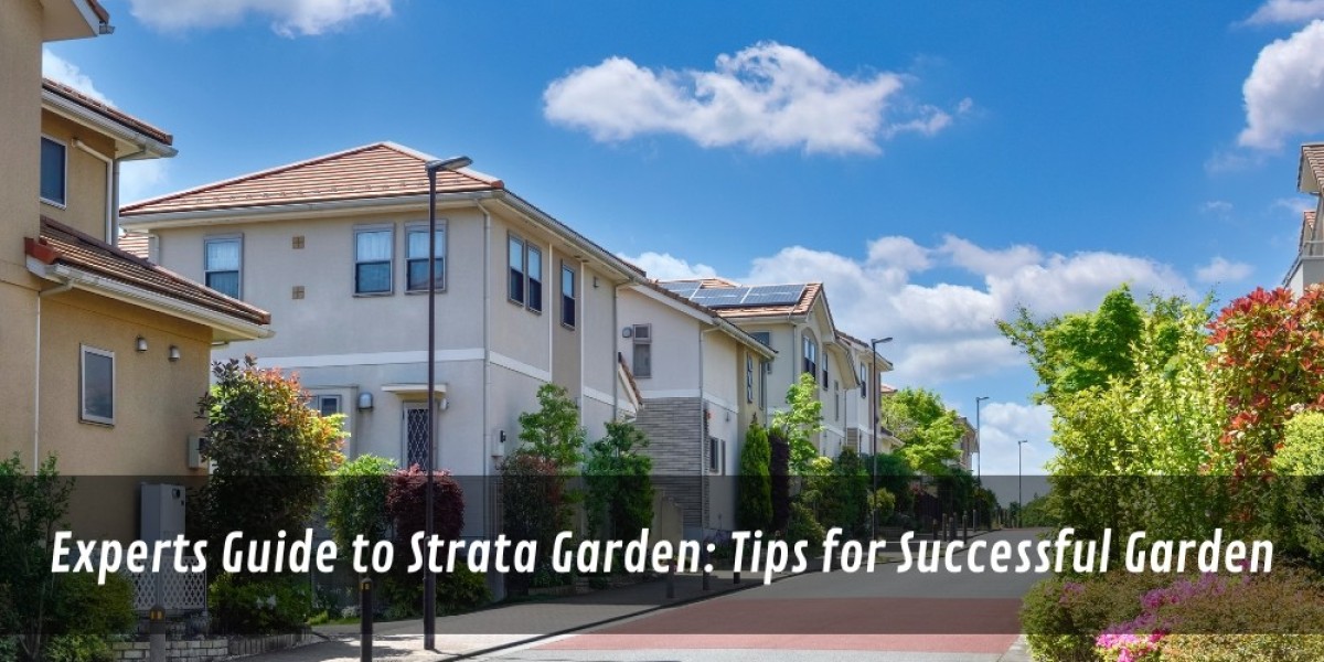 Experts Guide to Strata Garden: Tips for Successful Garden