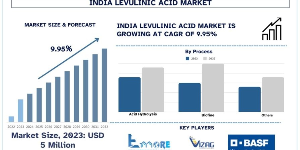 Levulinic Acid Market in India Set to Grow with Rising Government Support and Green Economy Initiatives