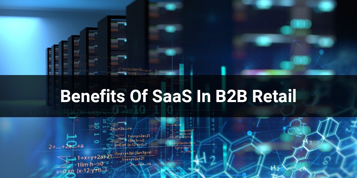 The Benefits Of SaaS In B2B Retail