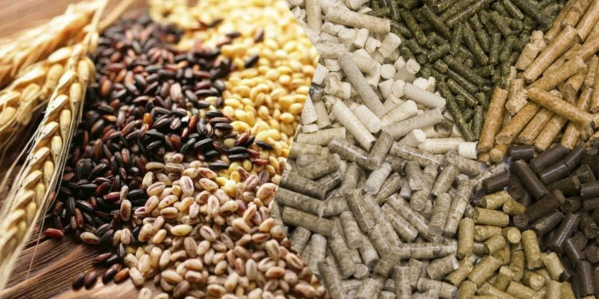 Animal Feed Additives Market: Drivers of Expansion in Animal Nutrition and Sustainability