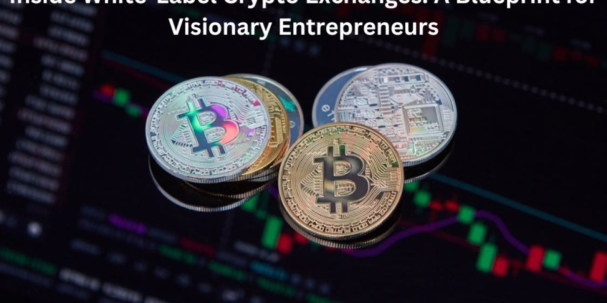 Inside White-Label Crypto Exchanges: A Blueprint for Visionary Entrepreneurs