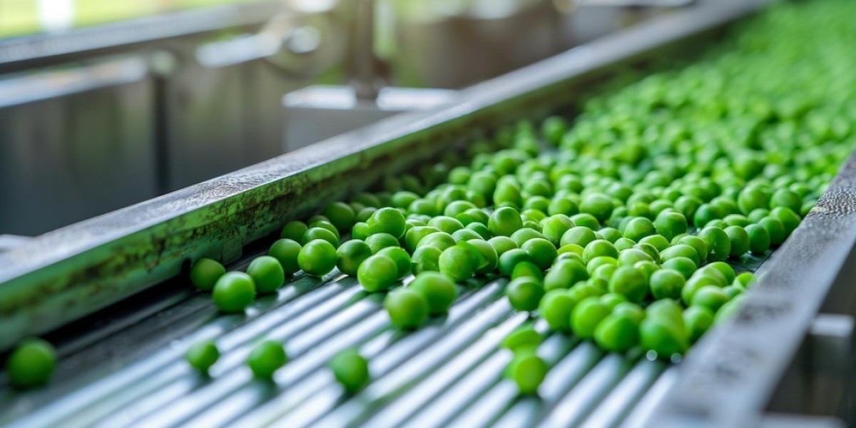 Prefeasibility Report on a Green Pea Processing Plant Project Setup Cost and Expanses