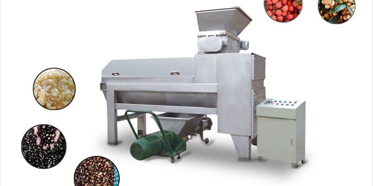 Lychee Processing Plant 2024 - Detailed Project Report and Manufacturing Process