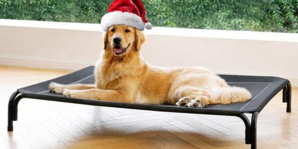 How to Choose the Best Washable Elevated Pet Bed for Your Furry Friend