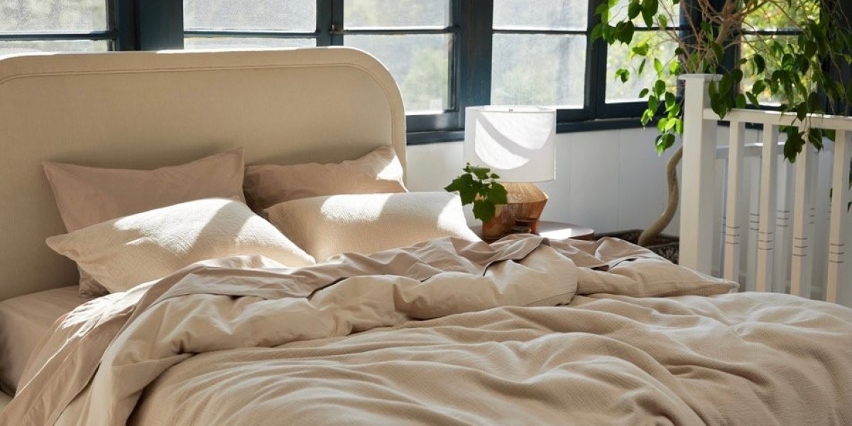 Global Organic Bedding  Market: Size, Share, Trends, and Growth Forecast from 2023 to 2033