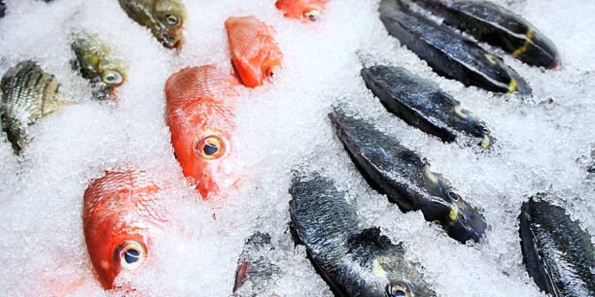 Frozen Seafood Market Trends and Insights: Size, Share, and Growth Forecast 2032