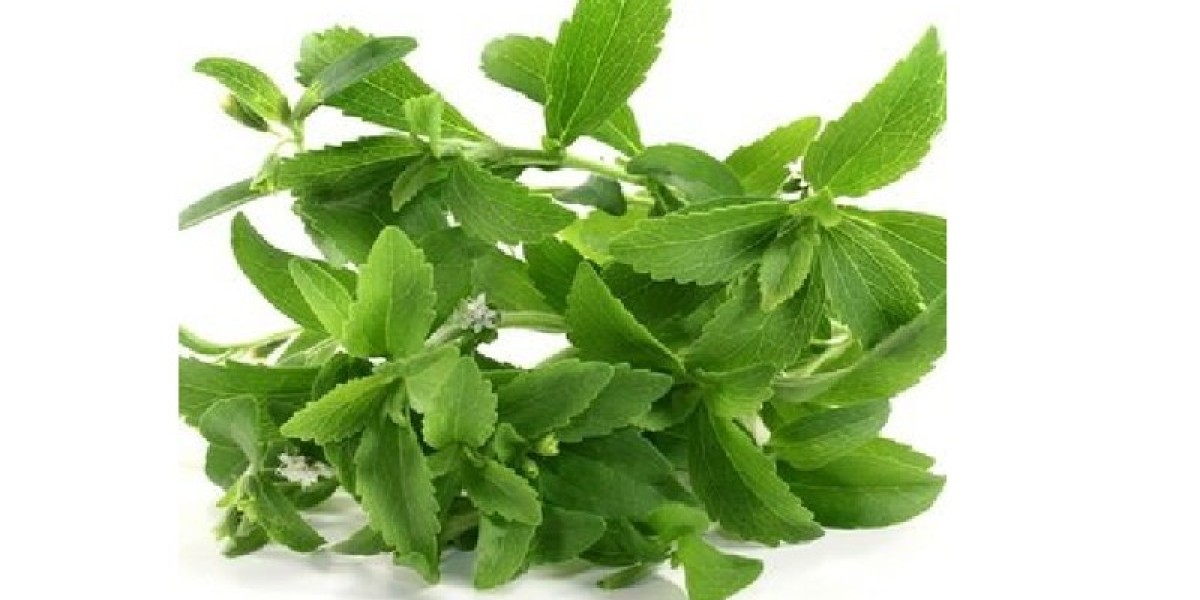 Organic Stevia Market Key Players and Their Strategies