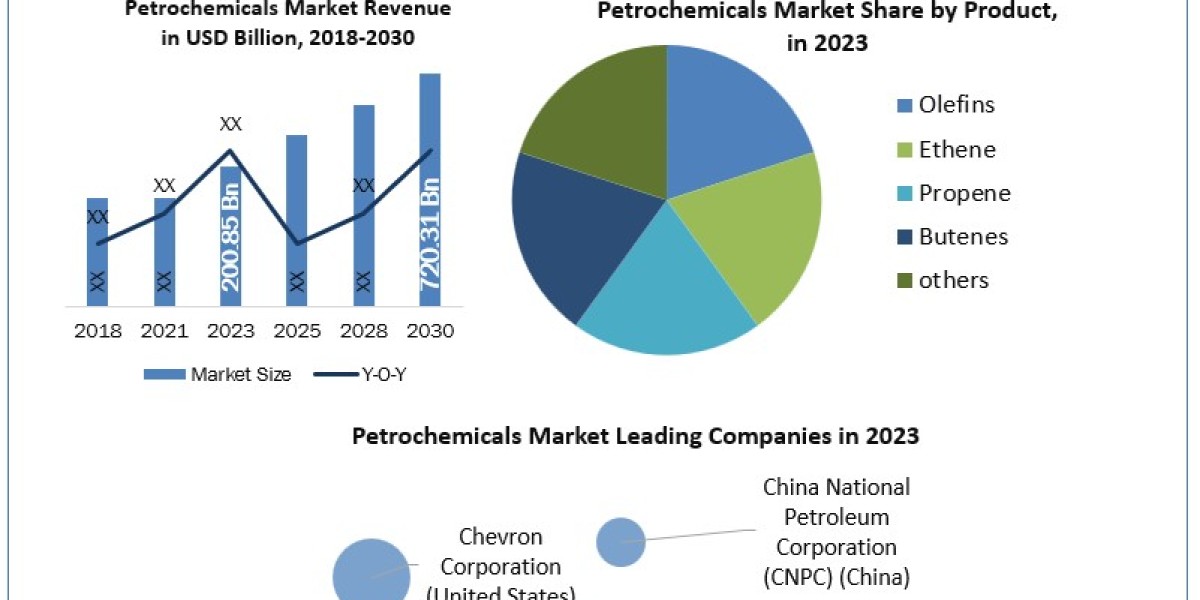 Petrochemicals Market Recent Developments, Market Position, Product, Business Segments, and Forecast 2030