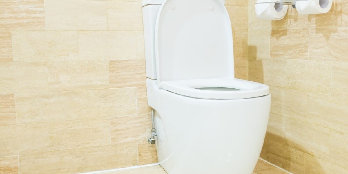 Toilet Seat Market Growth Opportunities in 2025