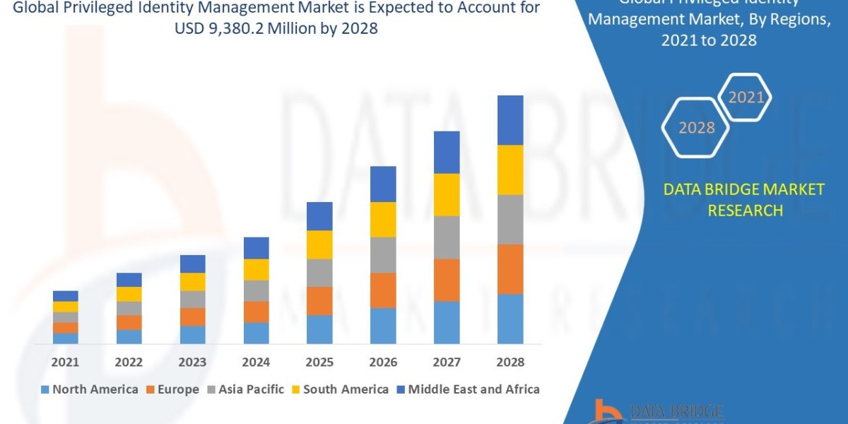 Privileged Identity Management Market: Growth Opportunities and Forecast 2028