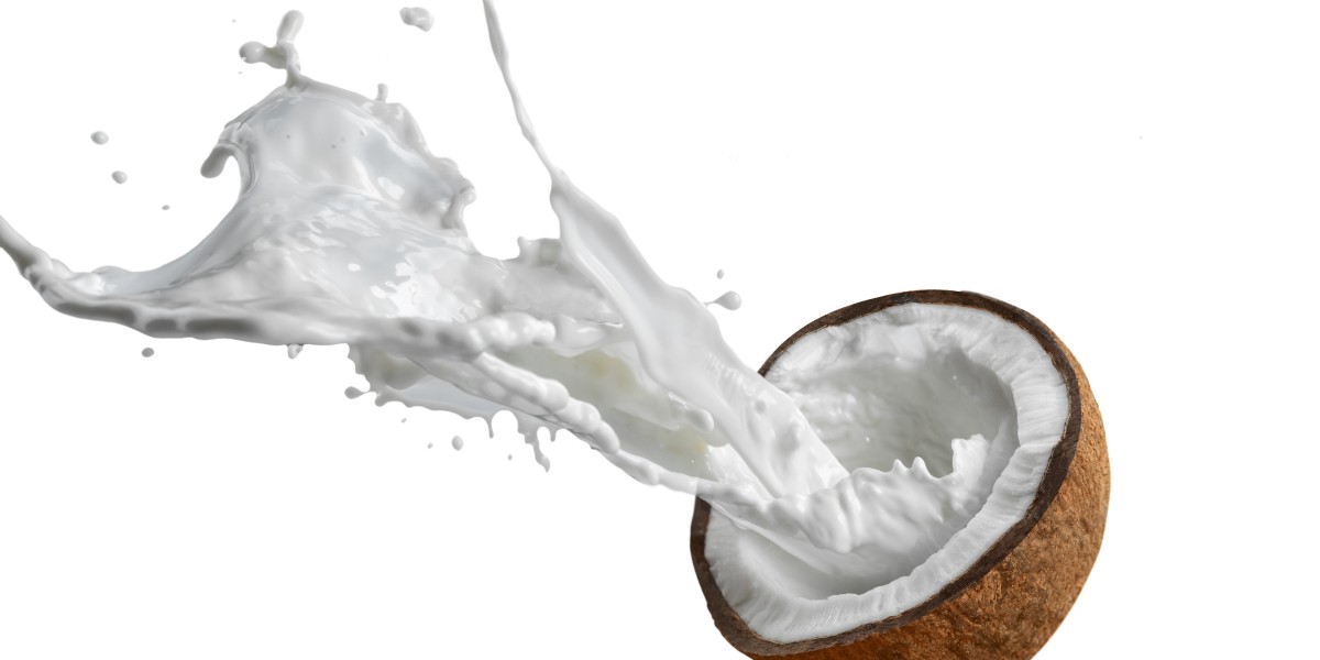 Coconut Milk Market Overview Key Factors Impacting Dynamics and Emerging Trends Shaping the Future Outlook