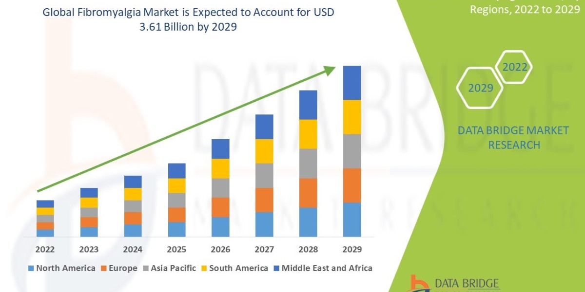 Fibromyalgia  Market: Key Trends and Future Growth Forecast 2029