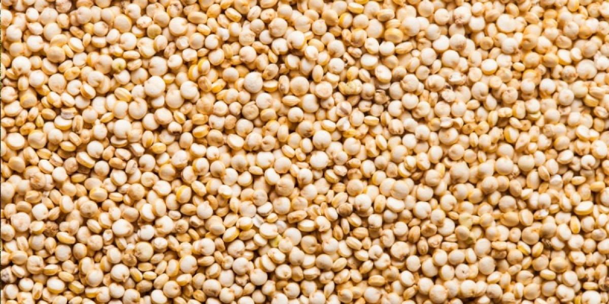 Australia Quinoa Seeds Market: Growth, Trends, and Future Outlook (2024-2032)