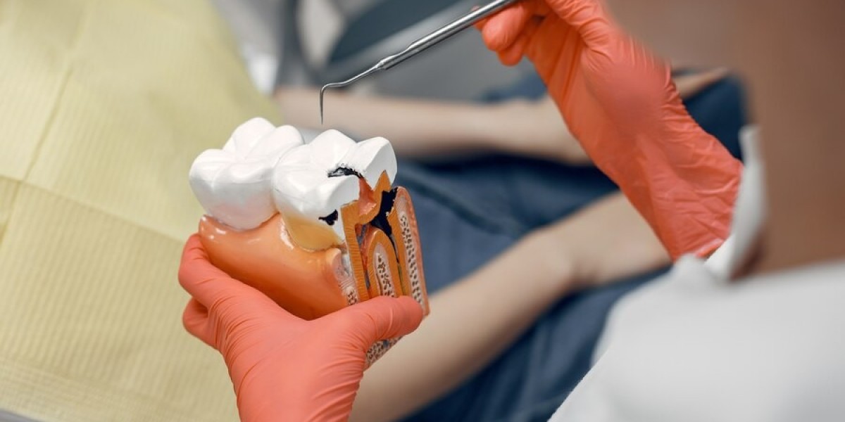 The Future of Dentistry: Trends and Opportunities in the Tooth Regeneration Market