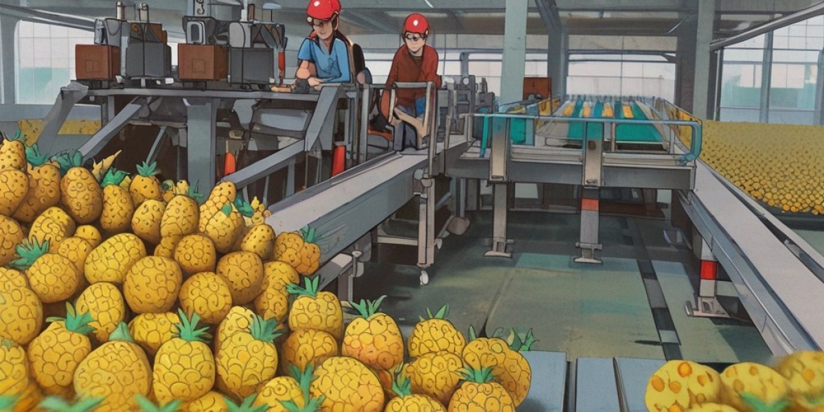 Pineapple Processing Plant Setup: Detailed Project Report 2024 by IMARC Group