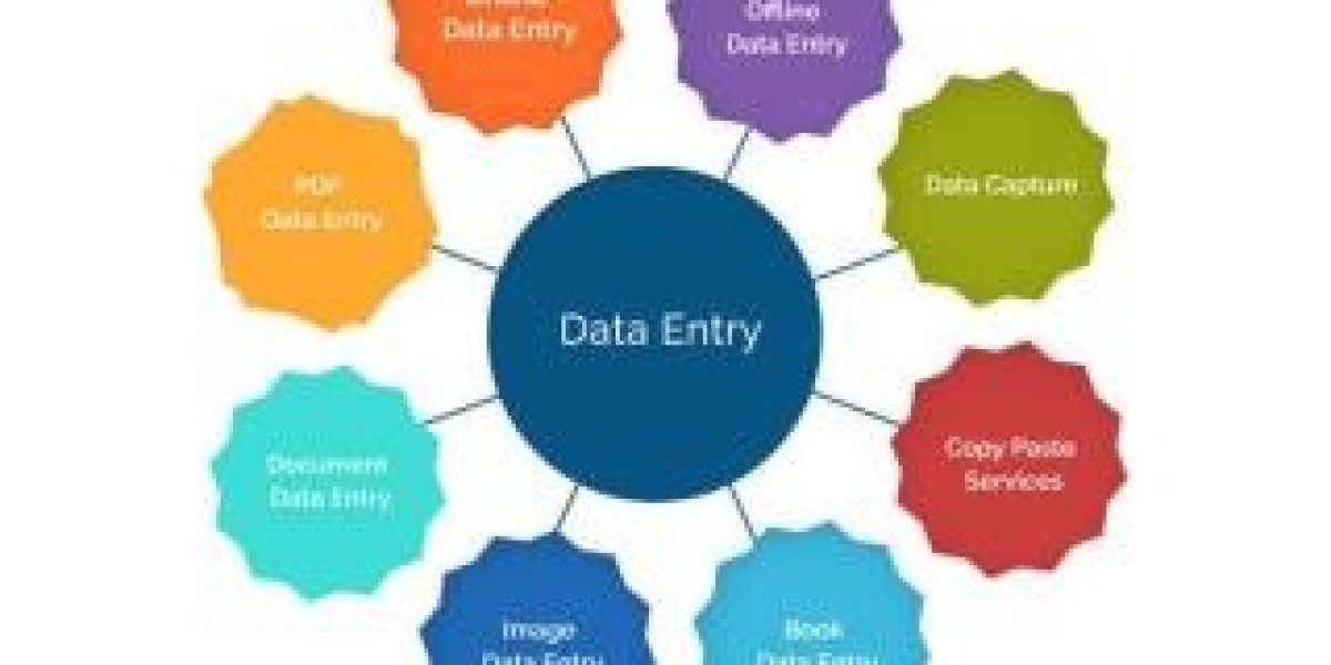 Data Entry Projects Provider in Noida