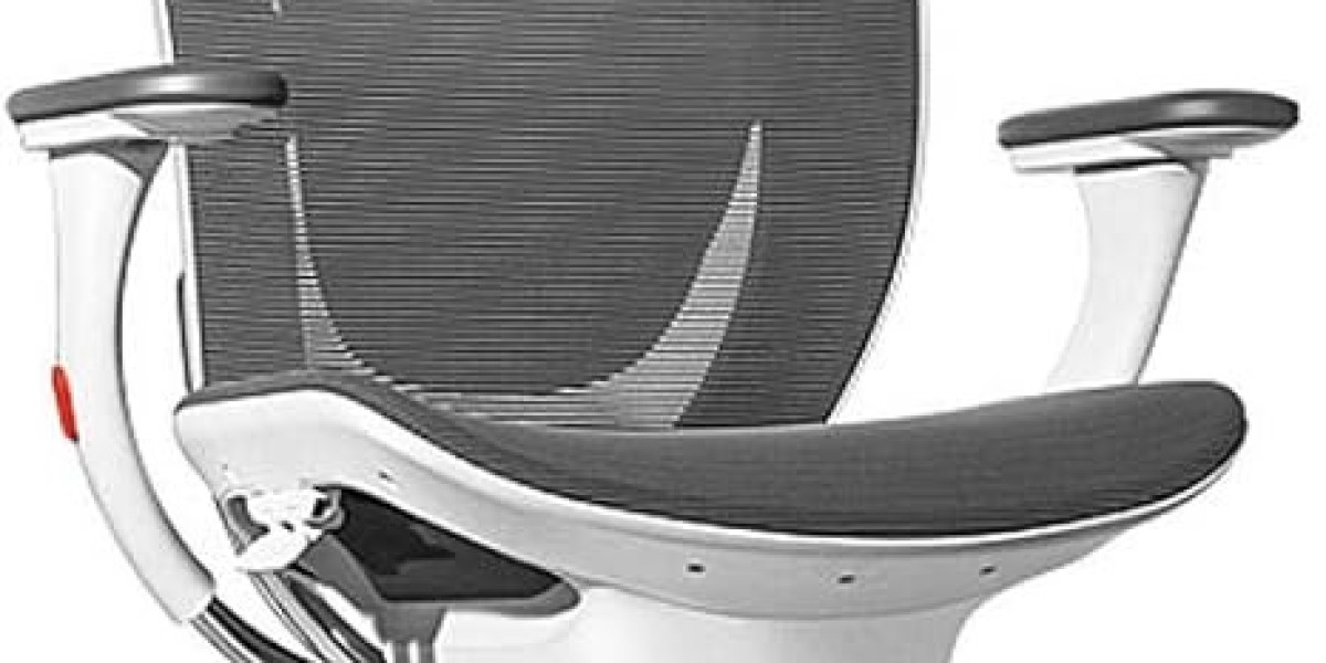 Ergonomic Chair Market Potential in 2025: Growth Factors and Future Market Trends Across Regions