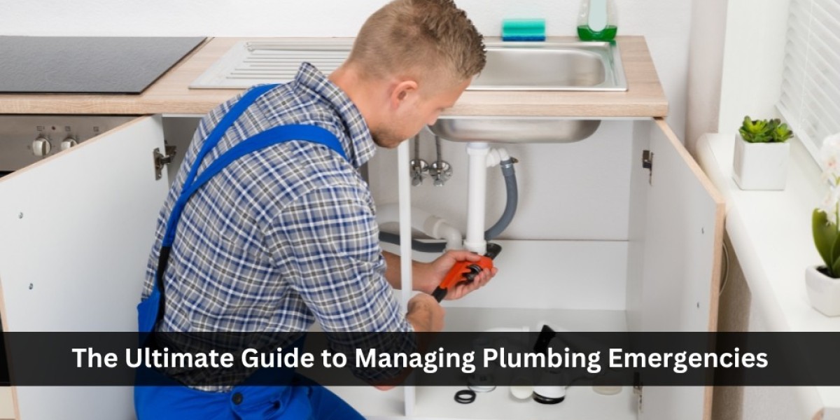 The Ultimate Guide to Managing Plumbing Emergencies