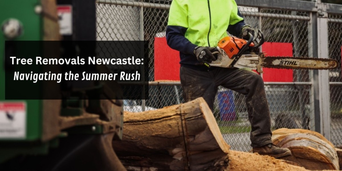 Tree Removals Newcastle: Navigating the Summer Rush