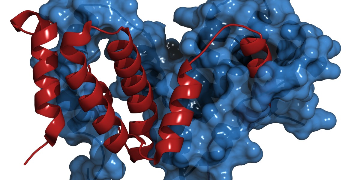 Textile Enzymes Market: Exploring New Opportunities for Innovation in Fabric Manufacturing