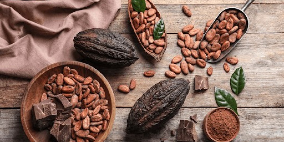 Cocoa Market Analysis of Key Factors Impacting Growth, Opportunities, and Emerging Trends