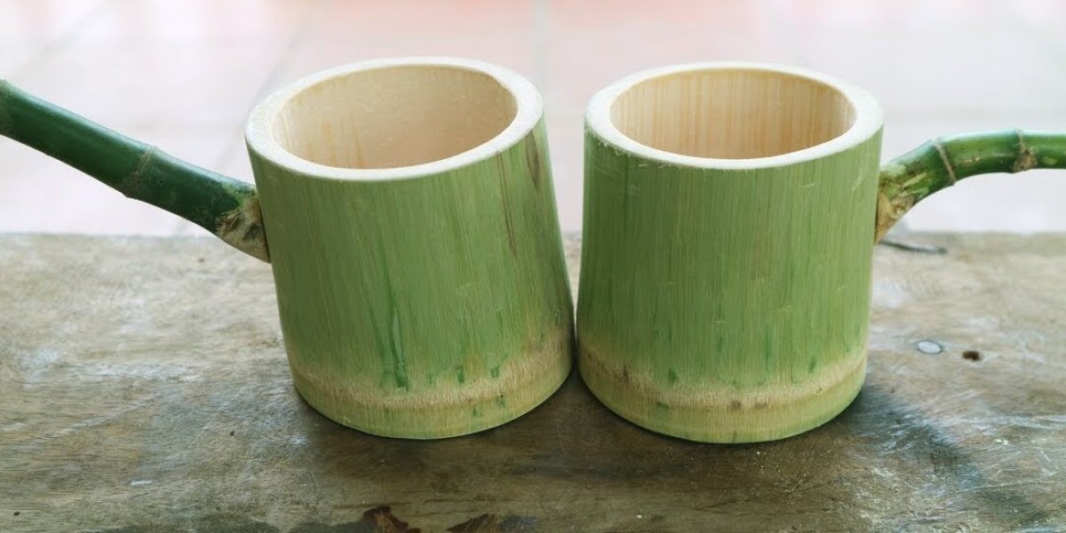 Bamboo Cups Market Current Scenario Trends, Comprehensive Analysis and Regional Forecast 2033