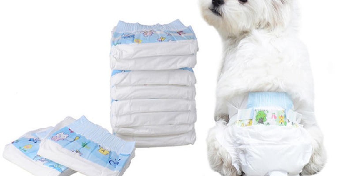 Pet Diaper Market: Growing Trends and Innovations Shaping the Industry’s Future