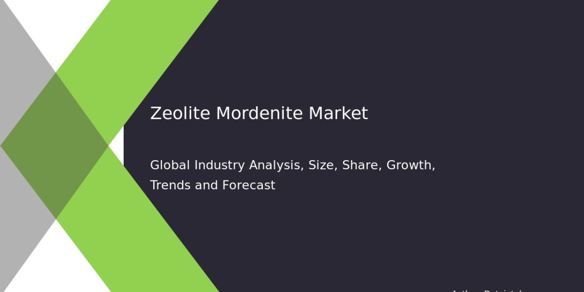 Detailed Analysis of the Zeolite Mordenite Industry – 2032