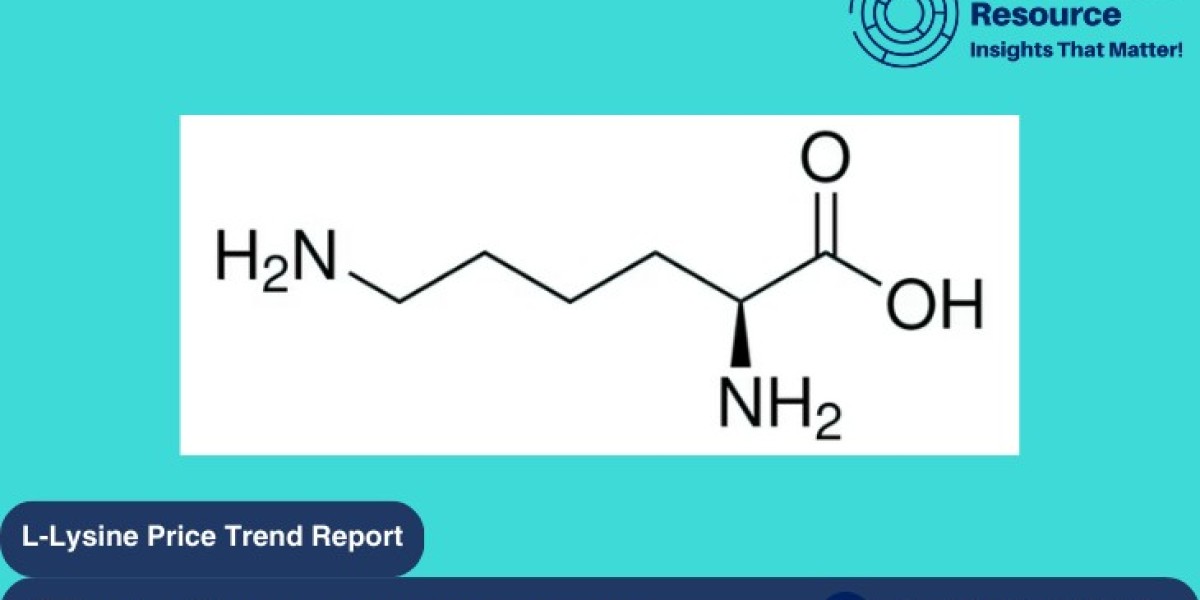 L-Lysine Price Trend: A Comprehensive Analysis