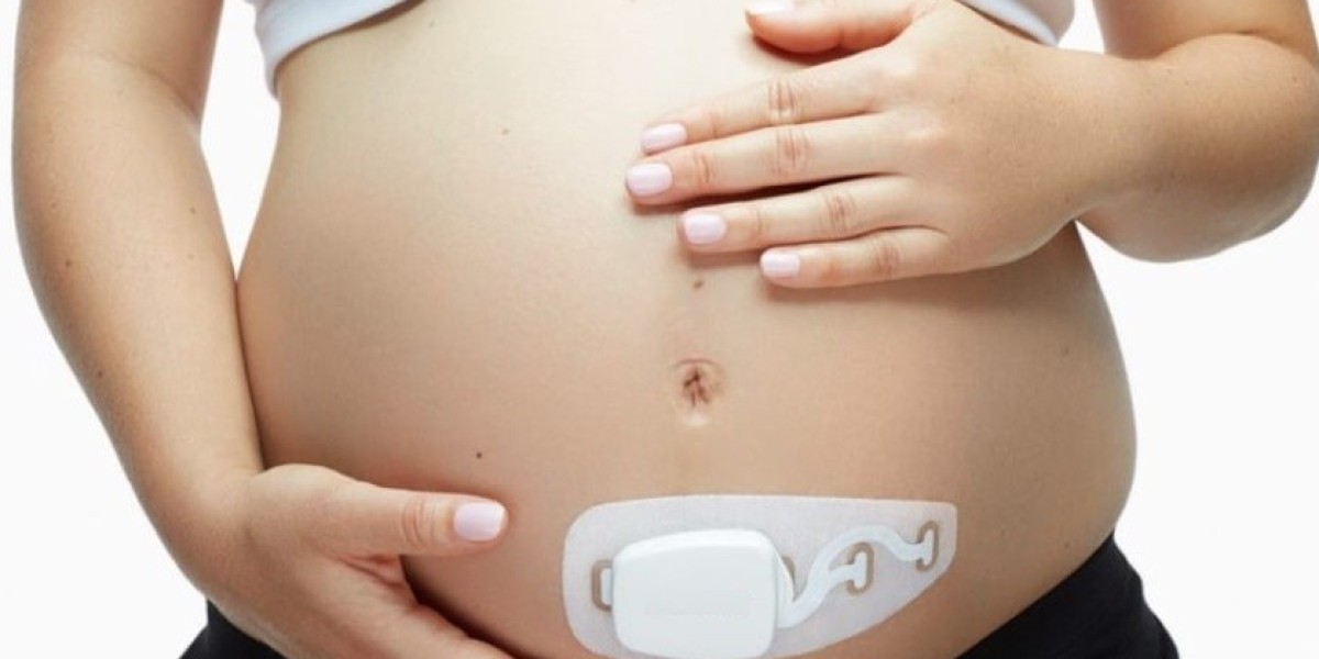 Wearable Pregnancy Devices Market Pain Points: Understanding Barriers and Solutions for Market Growth