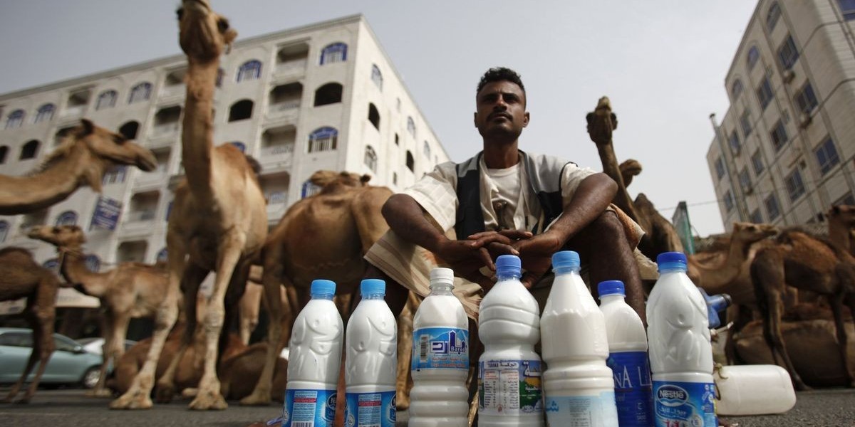 Camel Milk Market: How Influencers Are Shaping Trends and Boosting Consumer Interest Globally