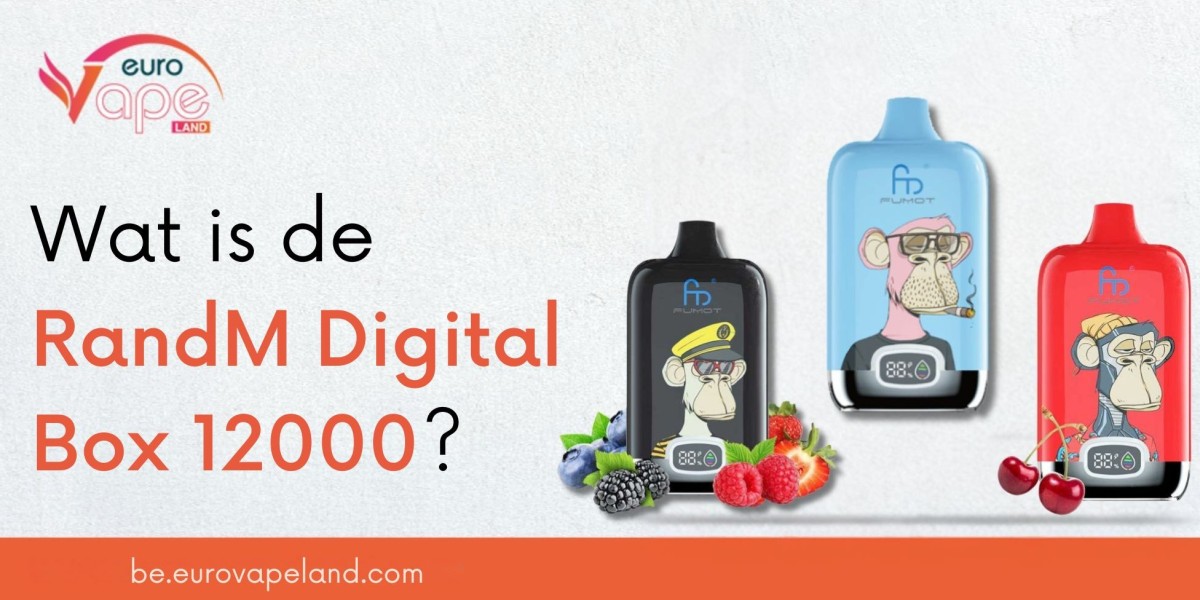 Wat is de RandM Digital Box 12000?