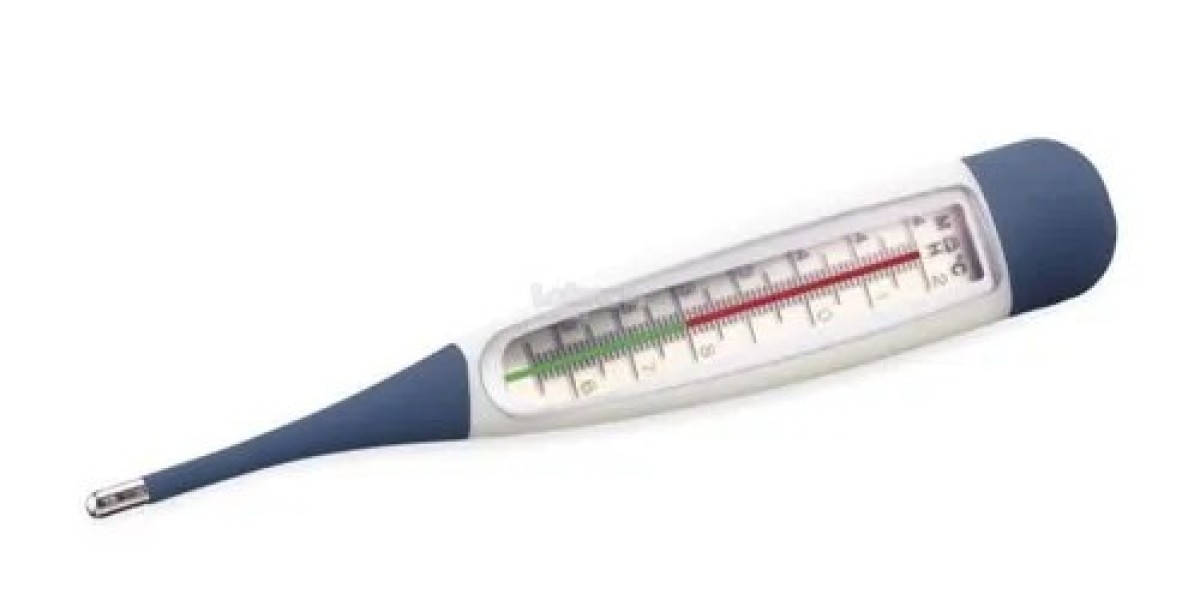 Clinical Thermometry Market Scenario: Examining the Shift Toward Digital and Non-Contact Thermometers in Healthcare