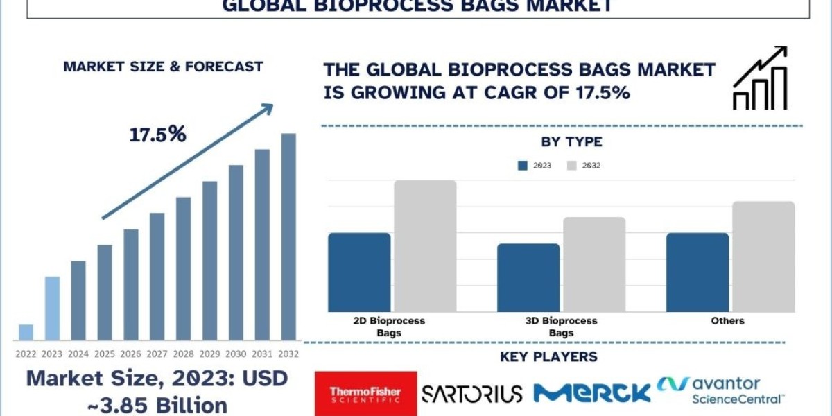 North America: Pioneering the Future of Bioprocess Bags in Biopharmaceutical Manufacturing