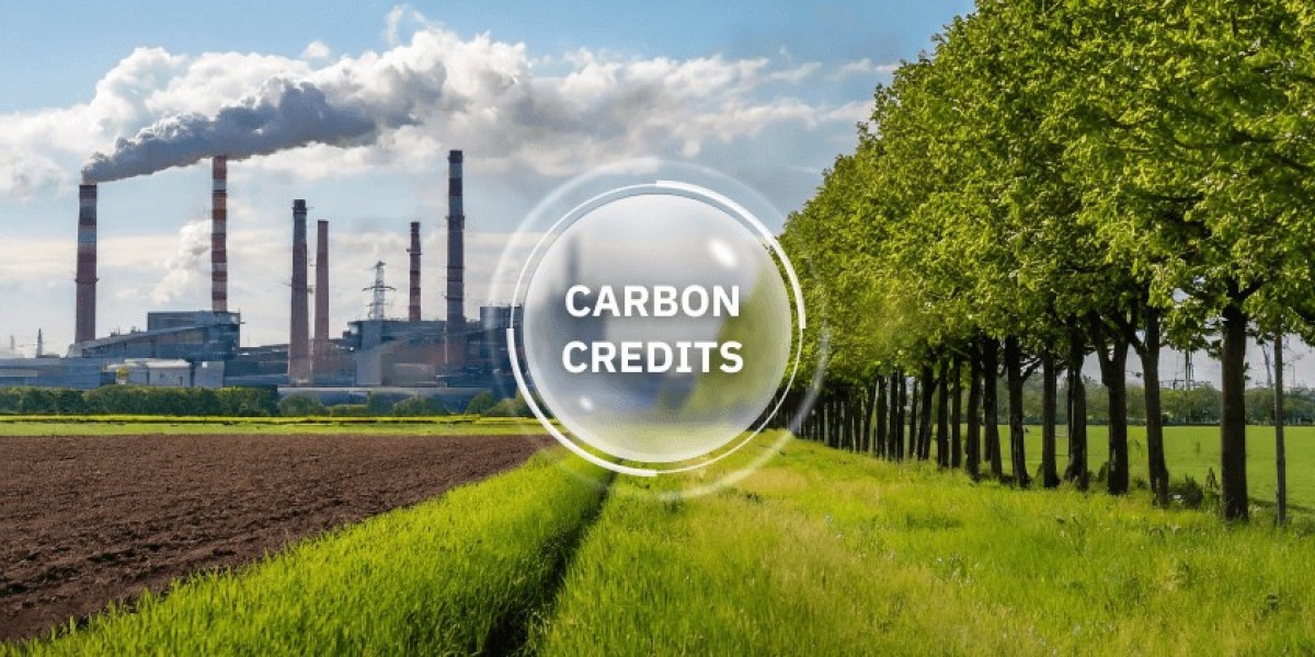 Carbon Credits Market: Trends, Growth Opportunities, and Future Insights