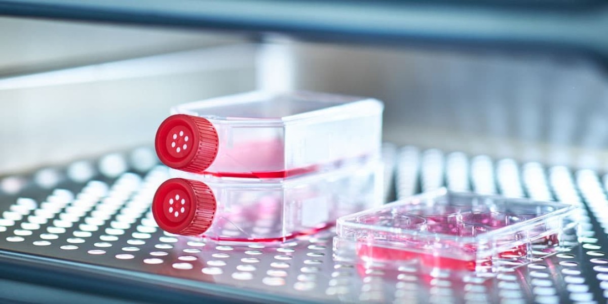 Emerging Trends in Stem Cell Manufacturing: What’s Shaping the Market’s Future?