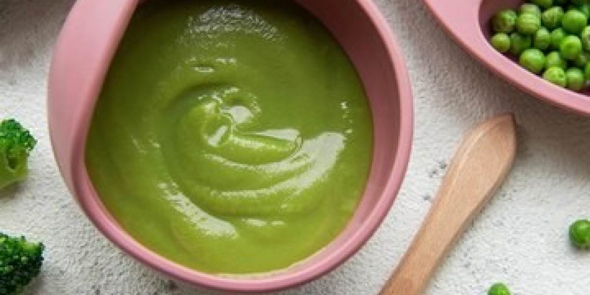 Vegan Baby Food Market Strategic Moves to Overcome Growth Barriers and Restraints