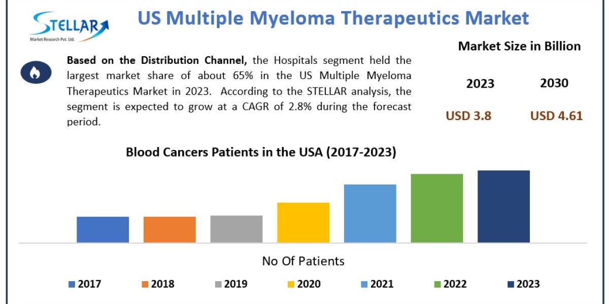 US Multiple Myeloma Therapeutics Market 	Beyond the Numbers Game: Size, Share, Revenue, and Statistics Overview |