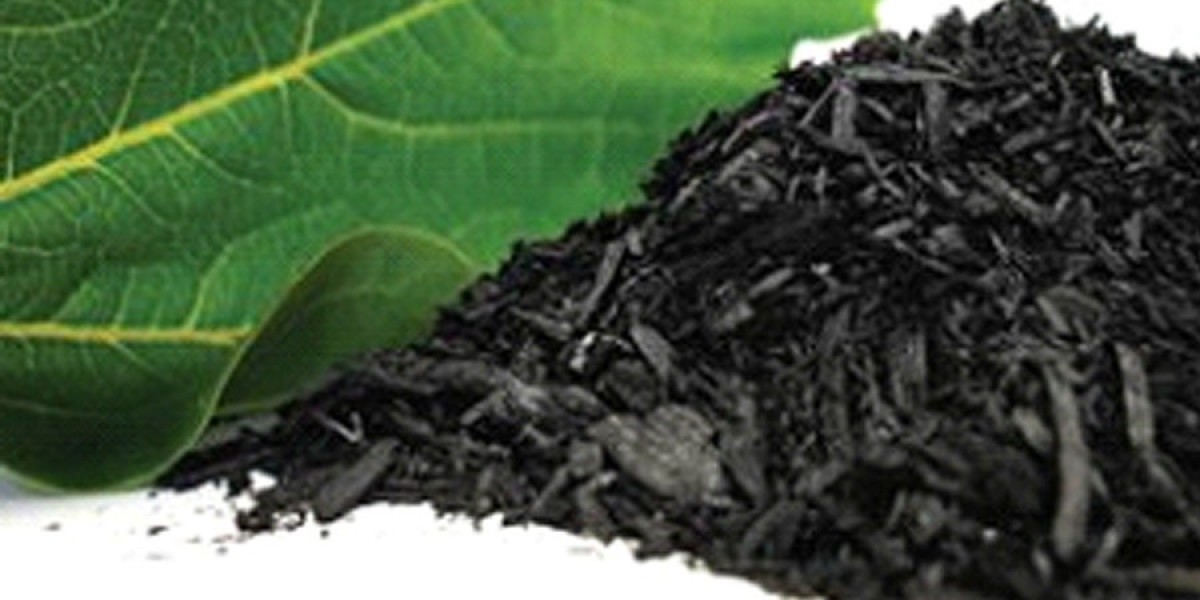 Biochar Market Analysis and Technological Trends for Sustainable Agriculture