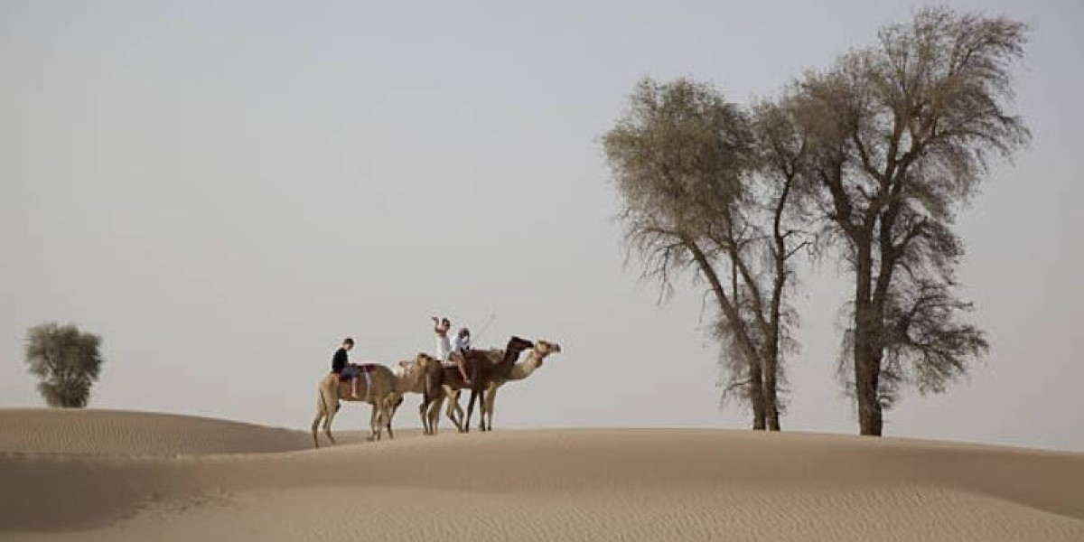 The Best of Dubai: 7 Activities for Every Traveler