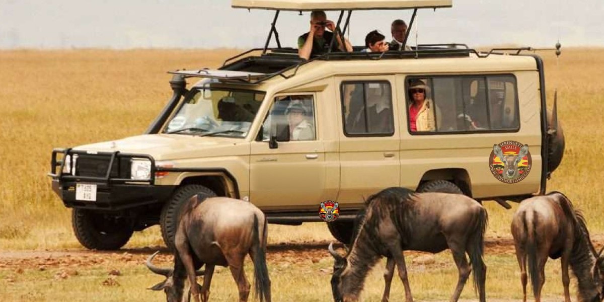 Explore Tanzania with the Top Safari Tour Companies